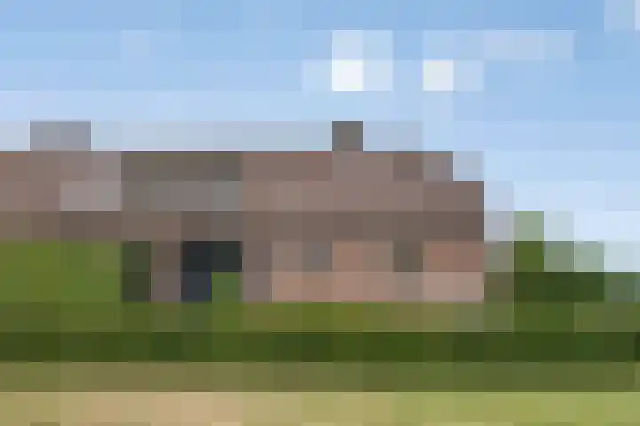 Overakker 11 Mierlo thumbnail 7