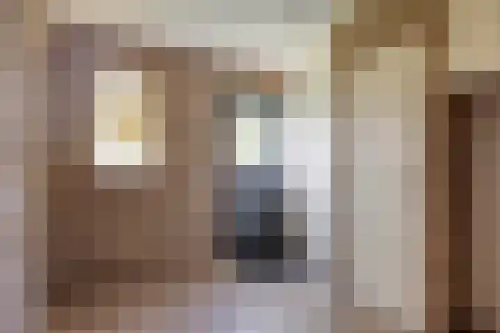Overakker 11 Mierlo thumbnail 8