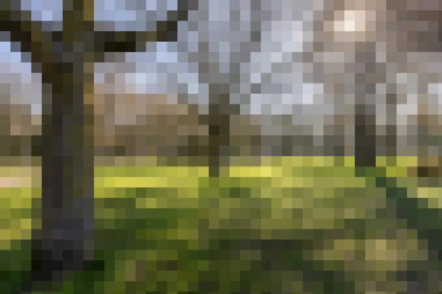Overakker 31 Bergen op Zoom thumbnail 33