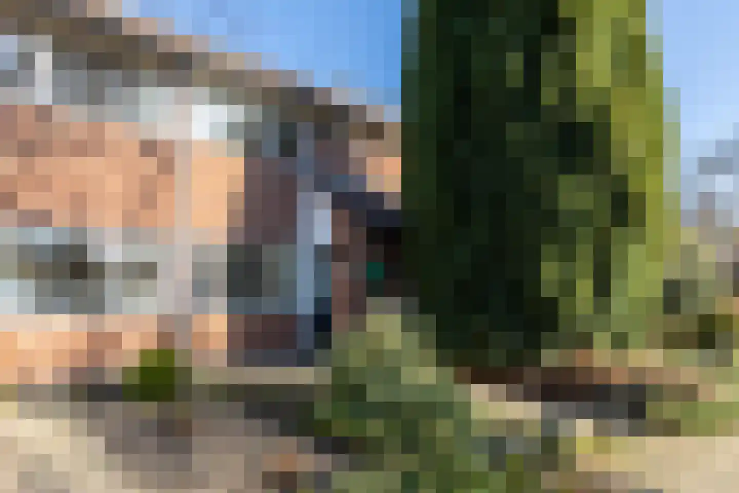 Overakker 31 Bergen op Zoom thumbnail 4