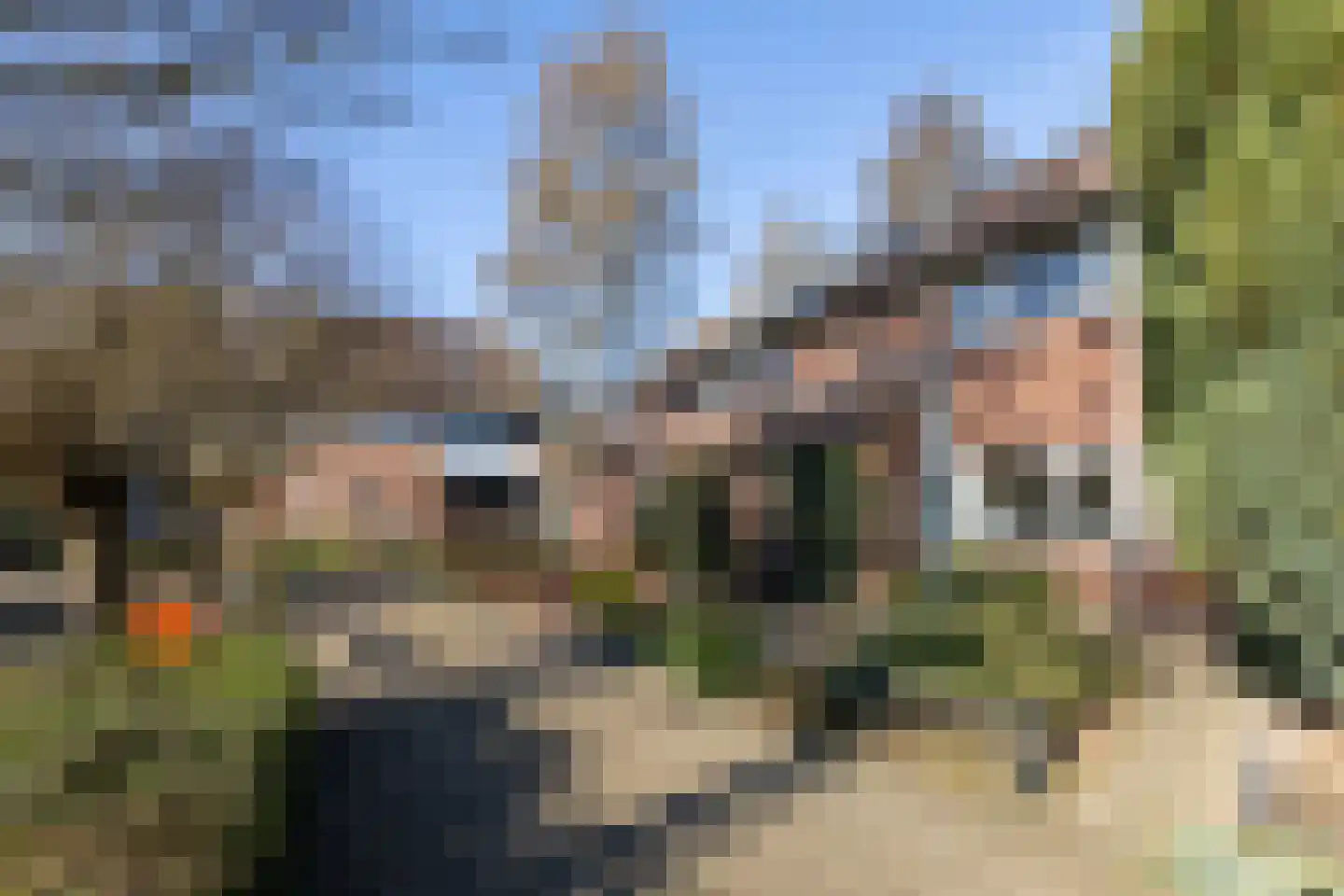 Overakker 31 Bergen op Zoom thumbnail 5