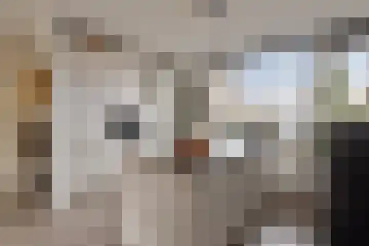 Overakker 5 Bergen op Zoom thumbnail 12