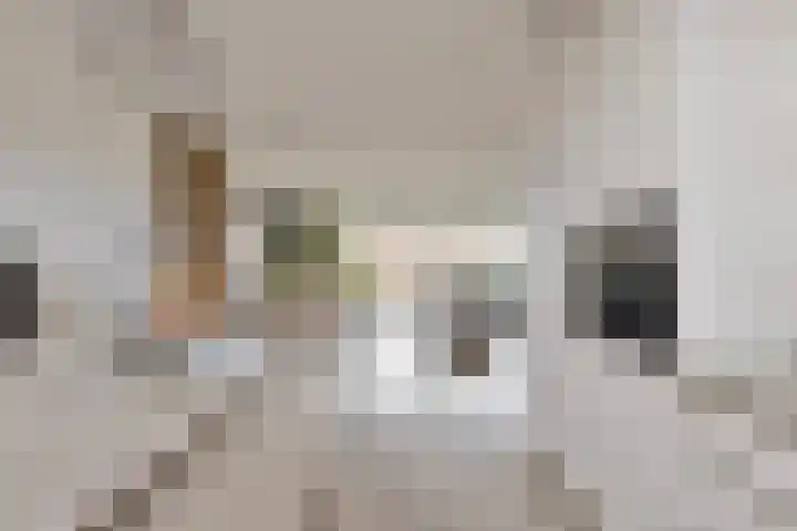 Overakker 5 Bergen op Zoom thumbnail 14