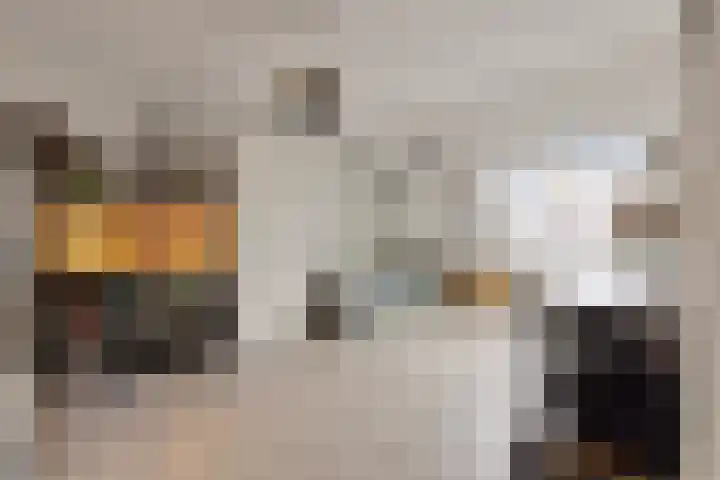 Overakker 5 Bergen op Zoom thumbnail 18