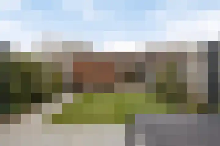 Overakker 5 Bergen op Zoom thumbnail 32