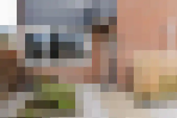Overakker 5 Bergen op Zoom thumbnail 38