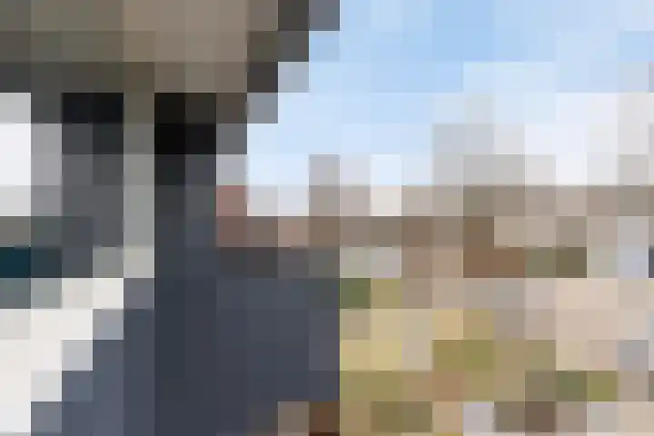 Overakker 5 Bergen op Zoom thumbnail 39