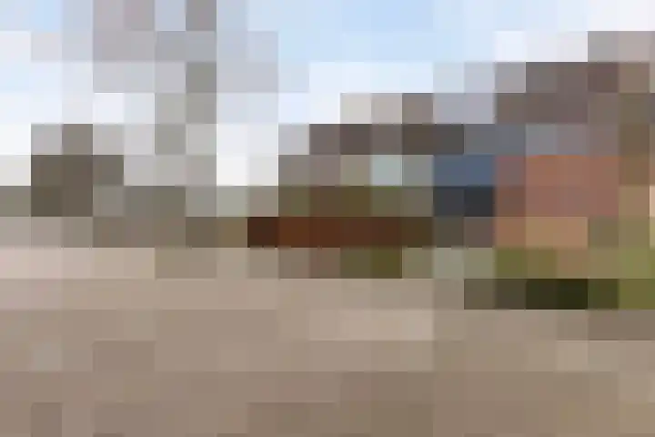 Overakker 5 Bergen op Zoom thumbnail 40