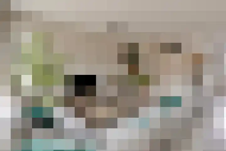 Overakker 5 Bergen op Zoom thumbnail 5