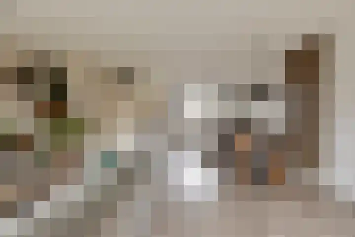Overakker 5 Bergen op Zoom thumbnail 7