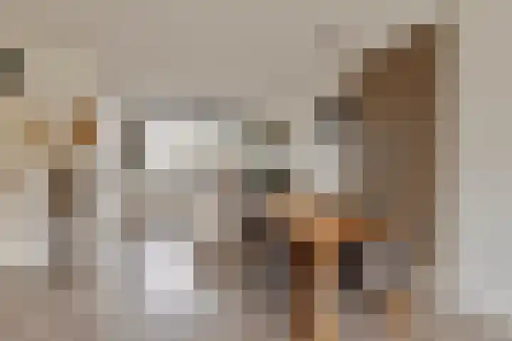 Overakker 5 Bergen op Zoom thumbnail 8