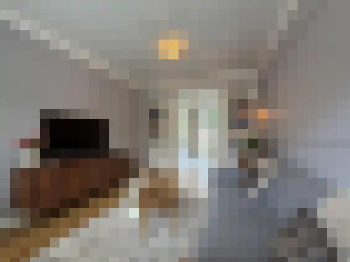 Overakkerstraat 11 Breda thumbnail 4