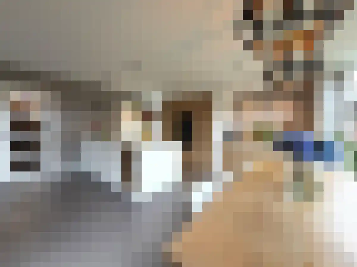 Overakkerstraat 11 Breda thumbnail 5