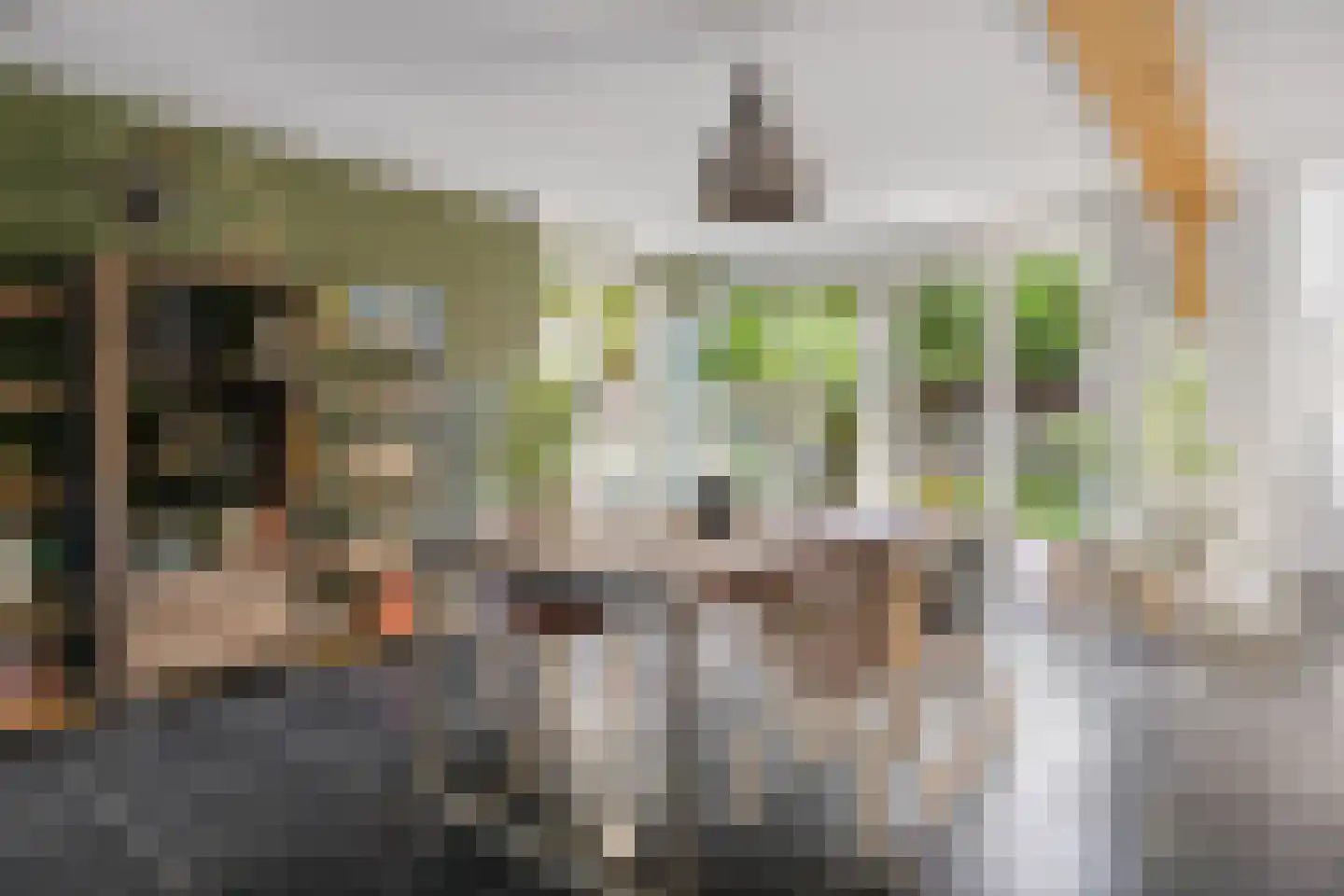 Overakkerstraat 11 Veghel thumbnail 11
