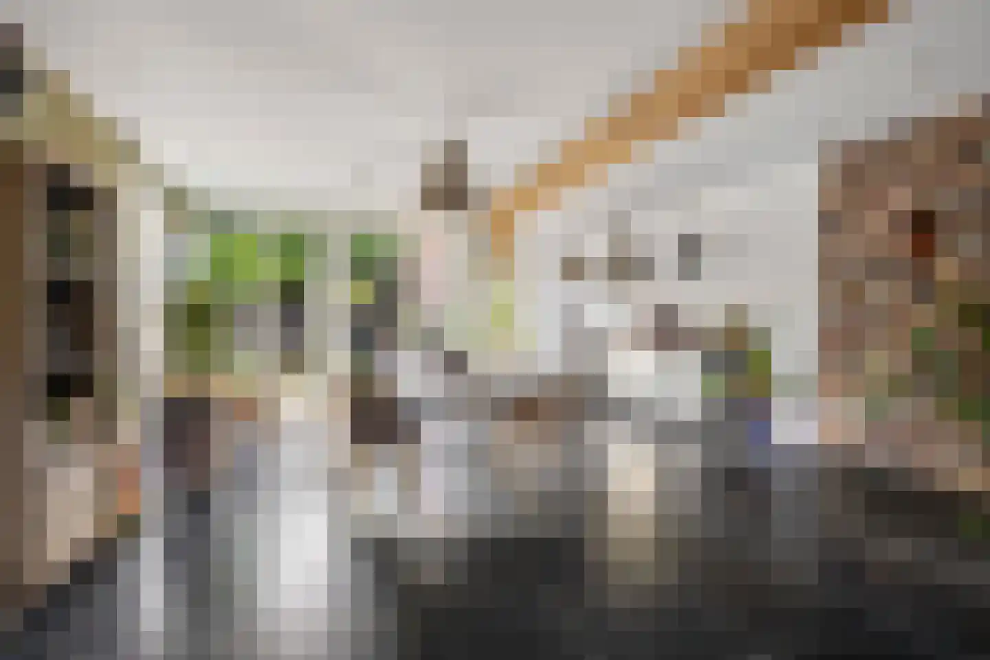 Overakkerstraat 11 Veghel thumbnail 12