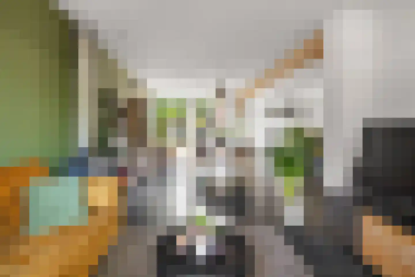 Overakkerstraat 11 Veghel thumbnail 13