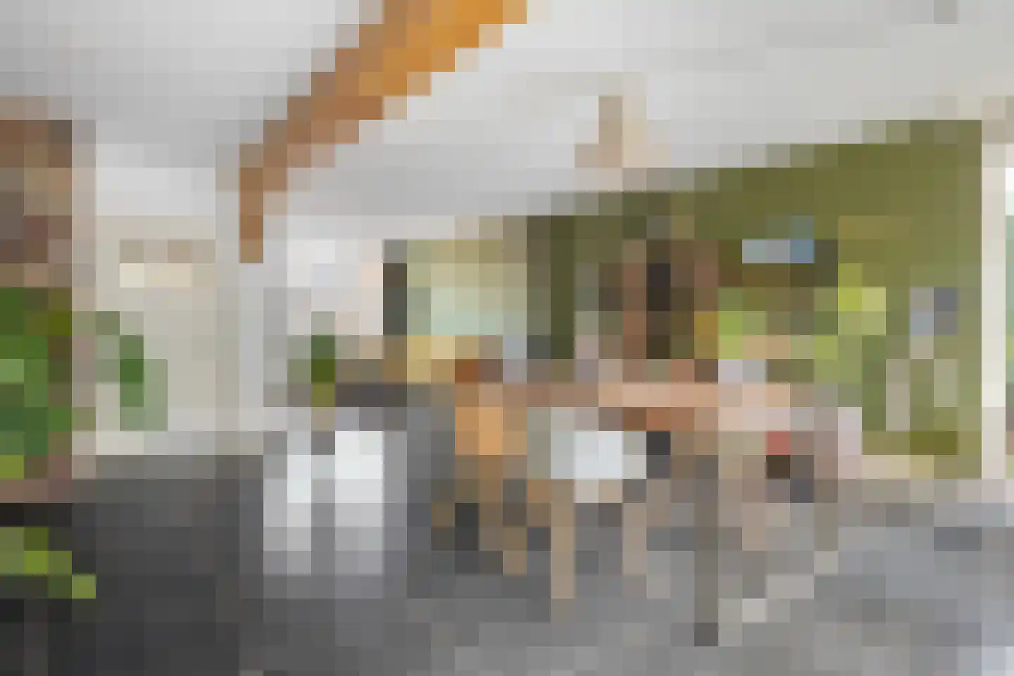Overakkerstraat 11 Veghel thumbnail 16