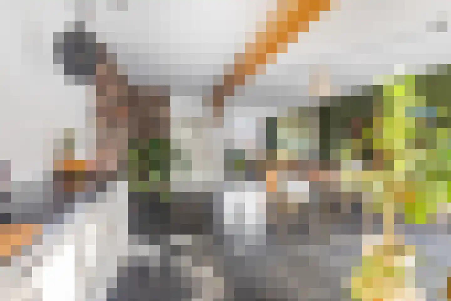 Overakkerstraat 11 Veghel thumbnail 17