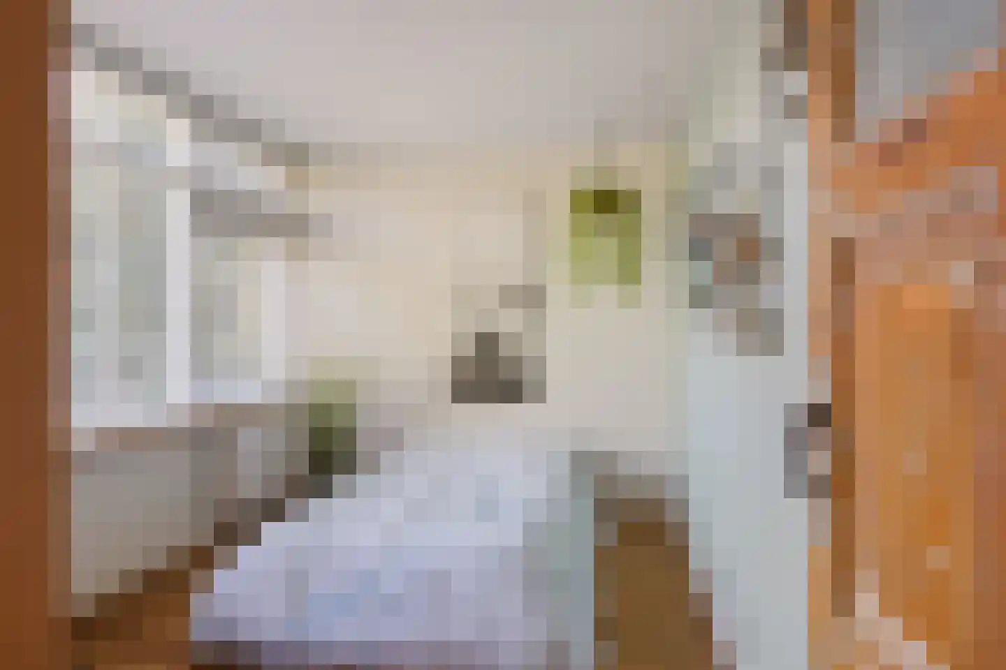 Overakkerstraat 11 Veghel thumbnail 26