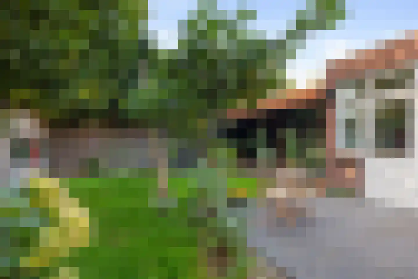 Overakkerstraat 11 Veghel thumbnail 35