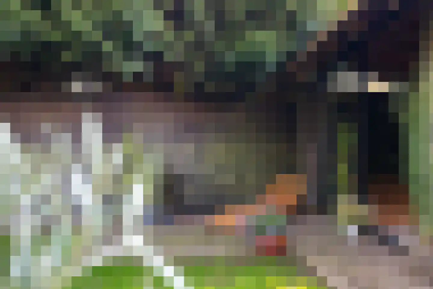 Overakkerstraat 11 Veghel thumbnail 36