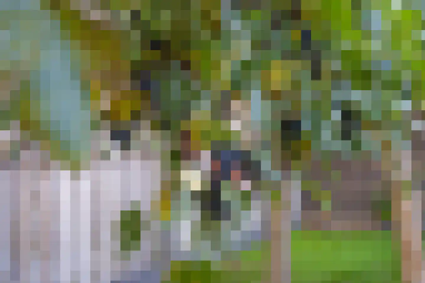 Overakkerstraat 11 Veghel thumbnail 38
