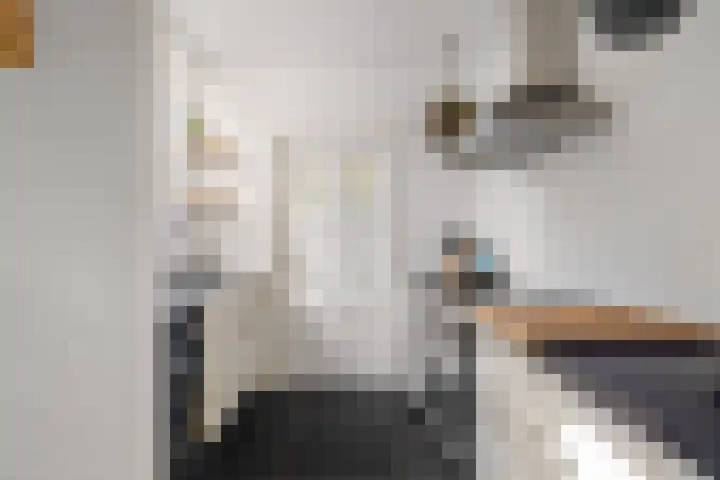 Overakkerstraat 11 Veghel thumbnail 5