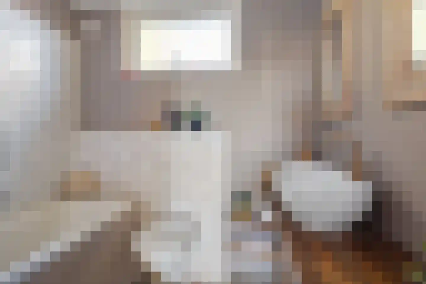 Overakkerstraat 11 Veghel thumbnail 7