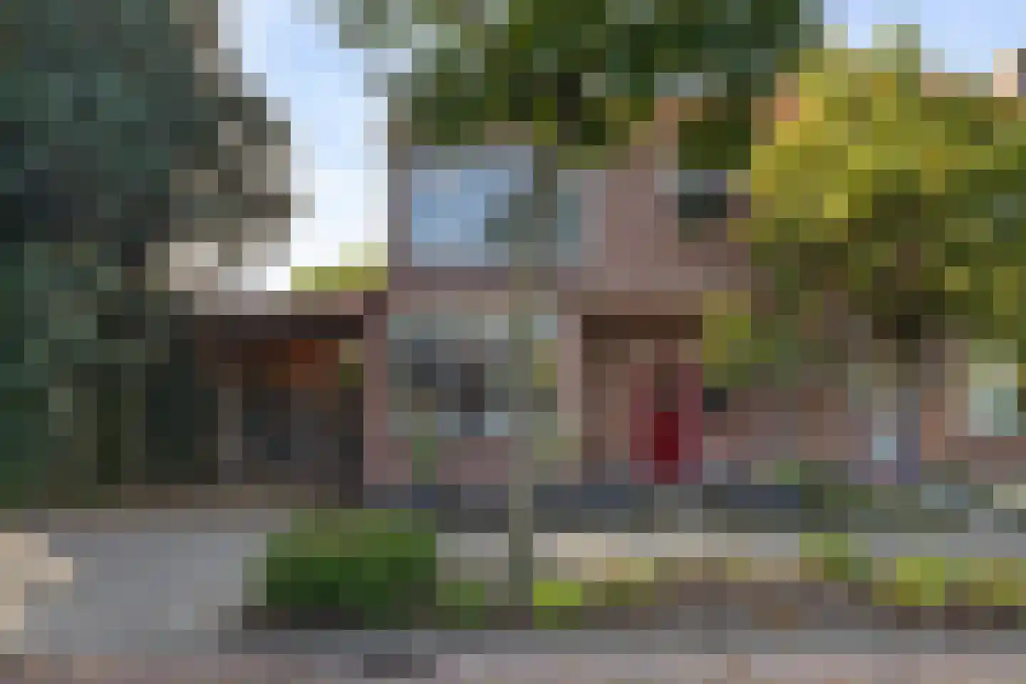 Overakkerstraat 11 Veghel thumbnail 9