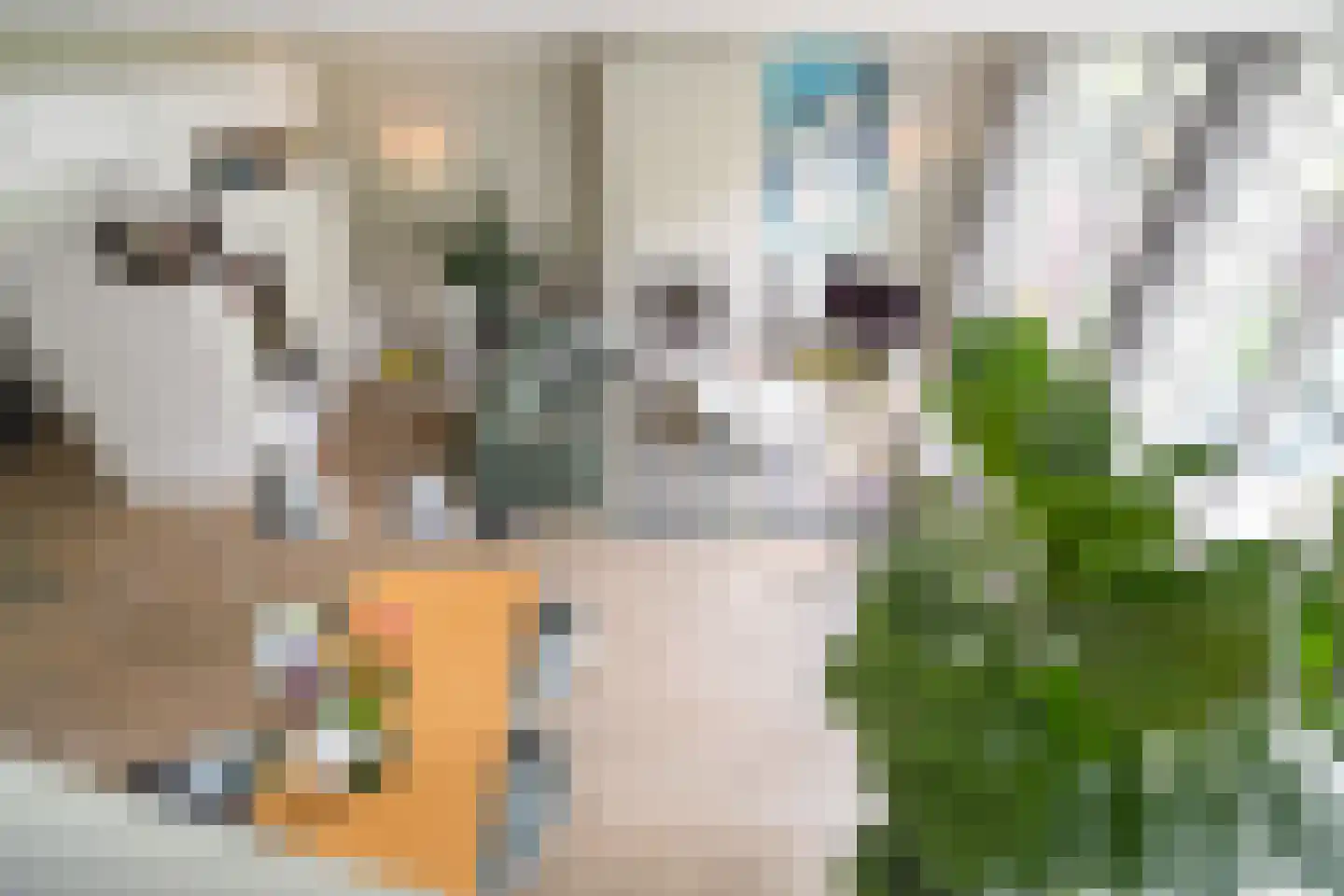 Overakkerstraat 204 Breda thumbnail 10