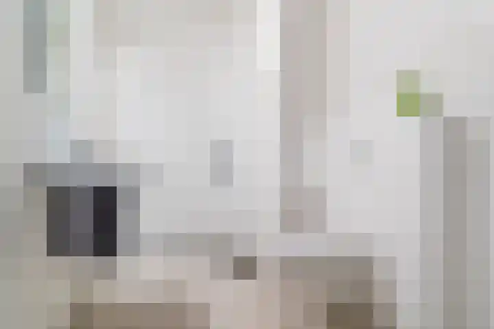Overakkerstraat 204 Breda thumbnail 34