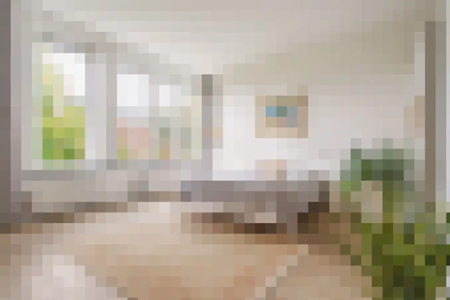 Overakkerstraat 204 Breda thumbnail 42