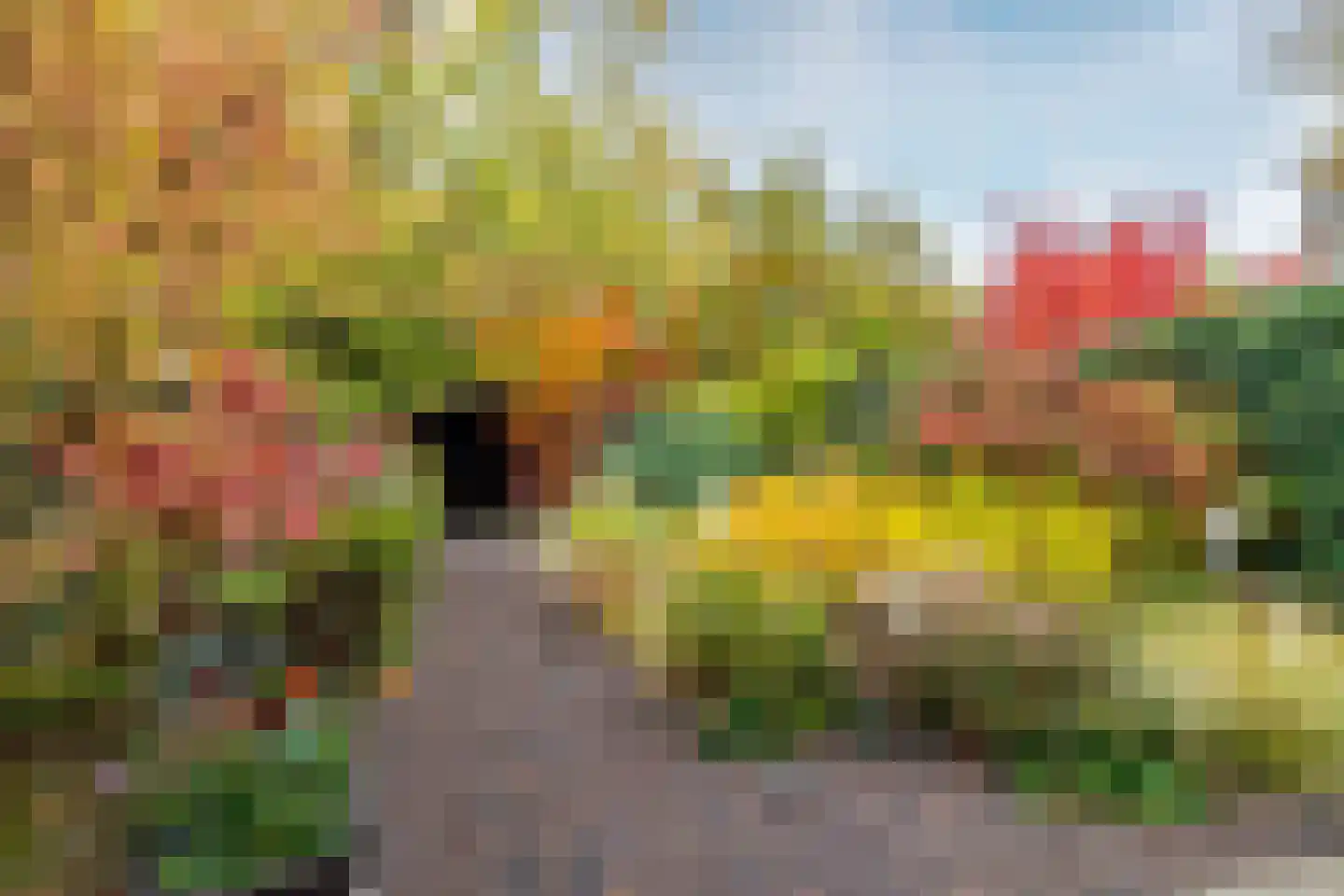 Overakkerstraat 204 Breda thumbnail 45