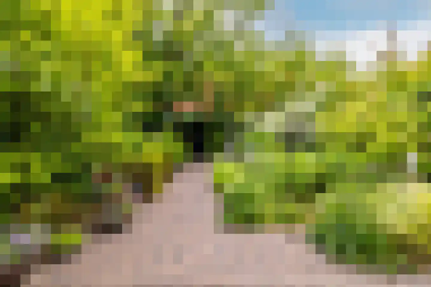 Overakkerstraat 204 Breda thumbnail 45