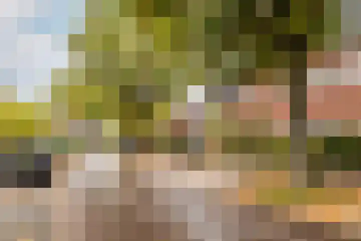 Overakkerstraat 204 Breda thumbnail 48
