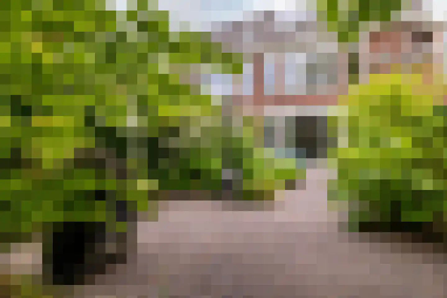Overakkerstraat 204 Breda thumbnail 48