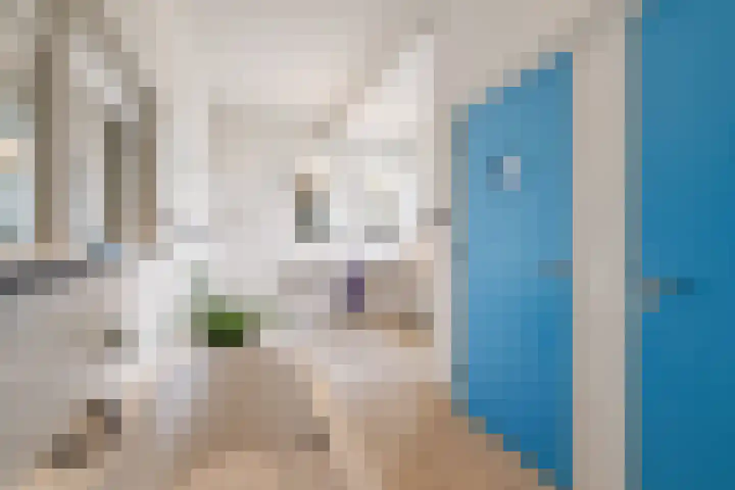 Overakkerstraat 204 Breda thumbnail 51