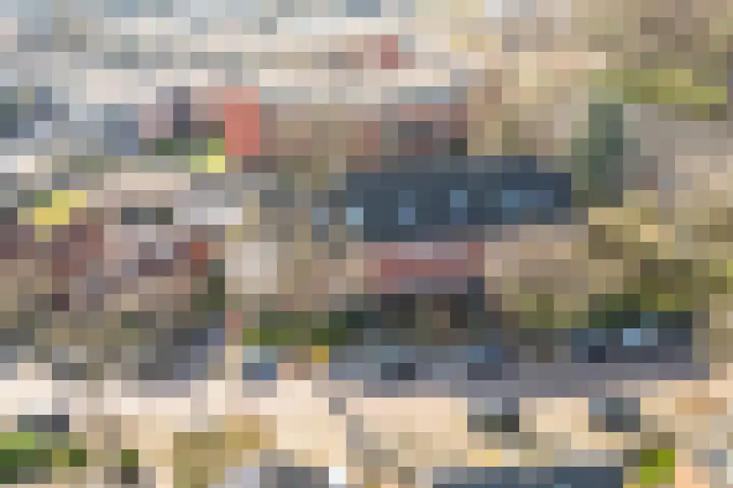 Overakkerstraat 204 Breda thumbnail 53