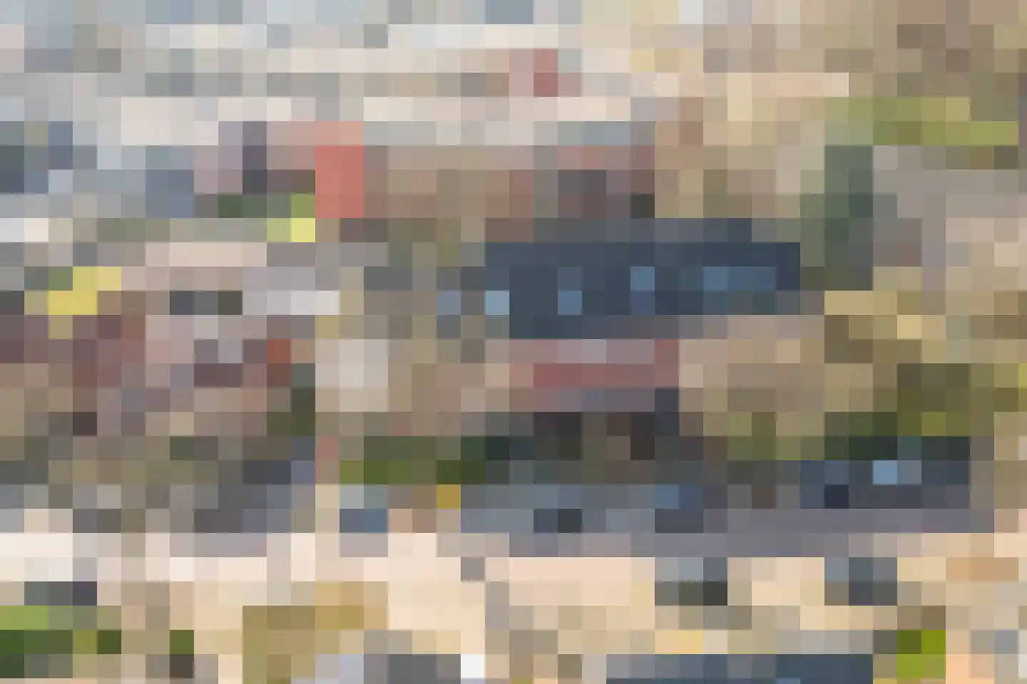Overakkerstraat 204 Breda thumbnail 55