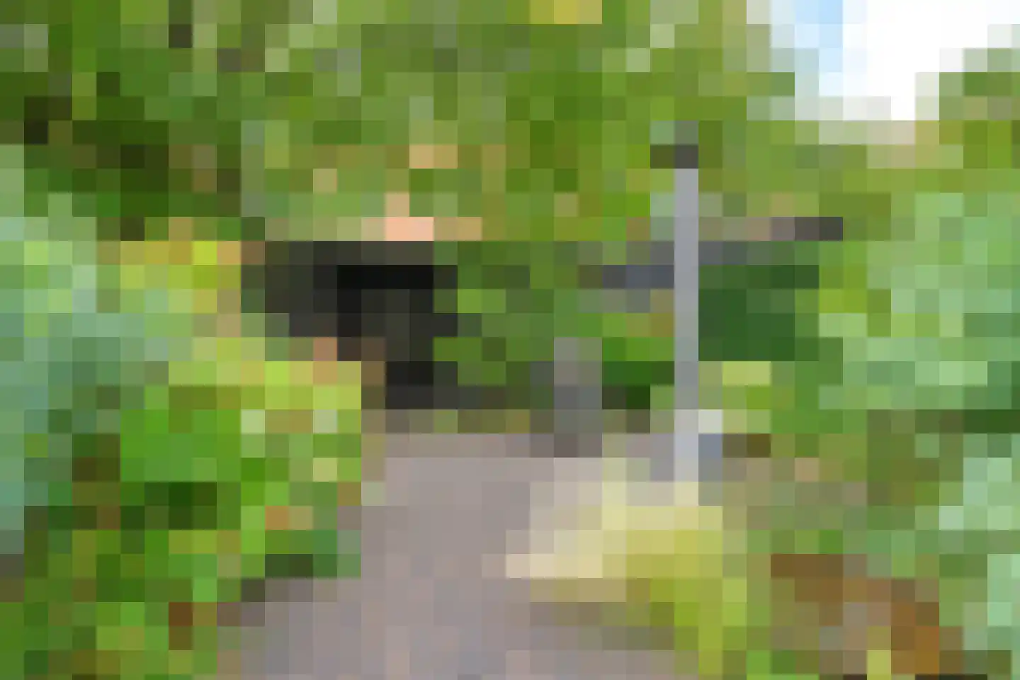 Overakkerstraat 204 Breda thumbnail 67