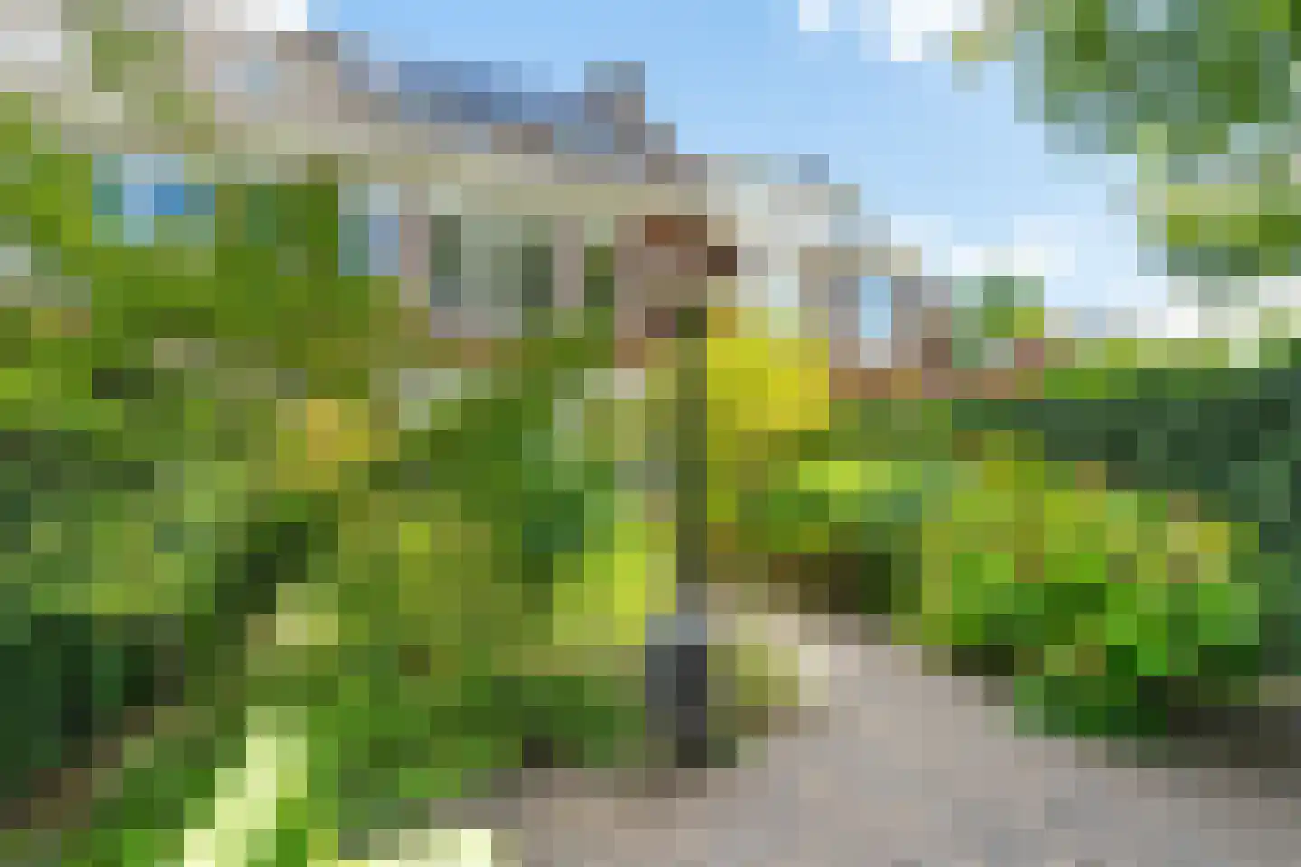 Overakkerstraat 204 Breda thumbnail 68