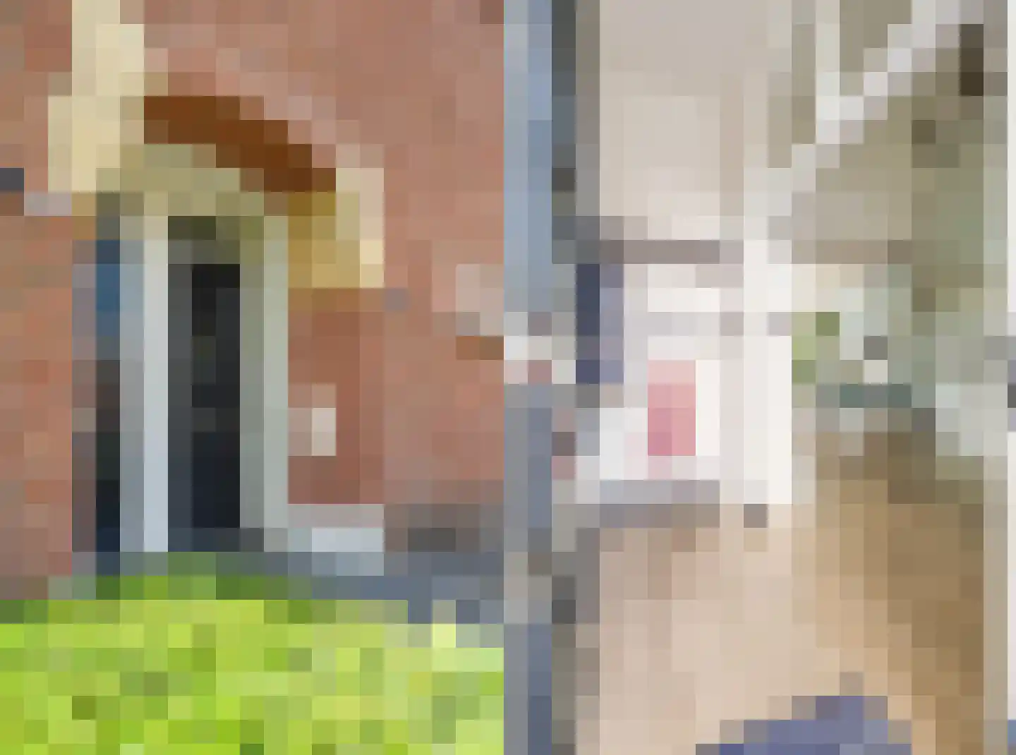 Overakkerstraat 204 Breda thumbnail 8