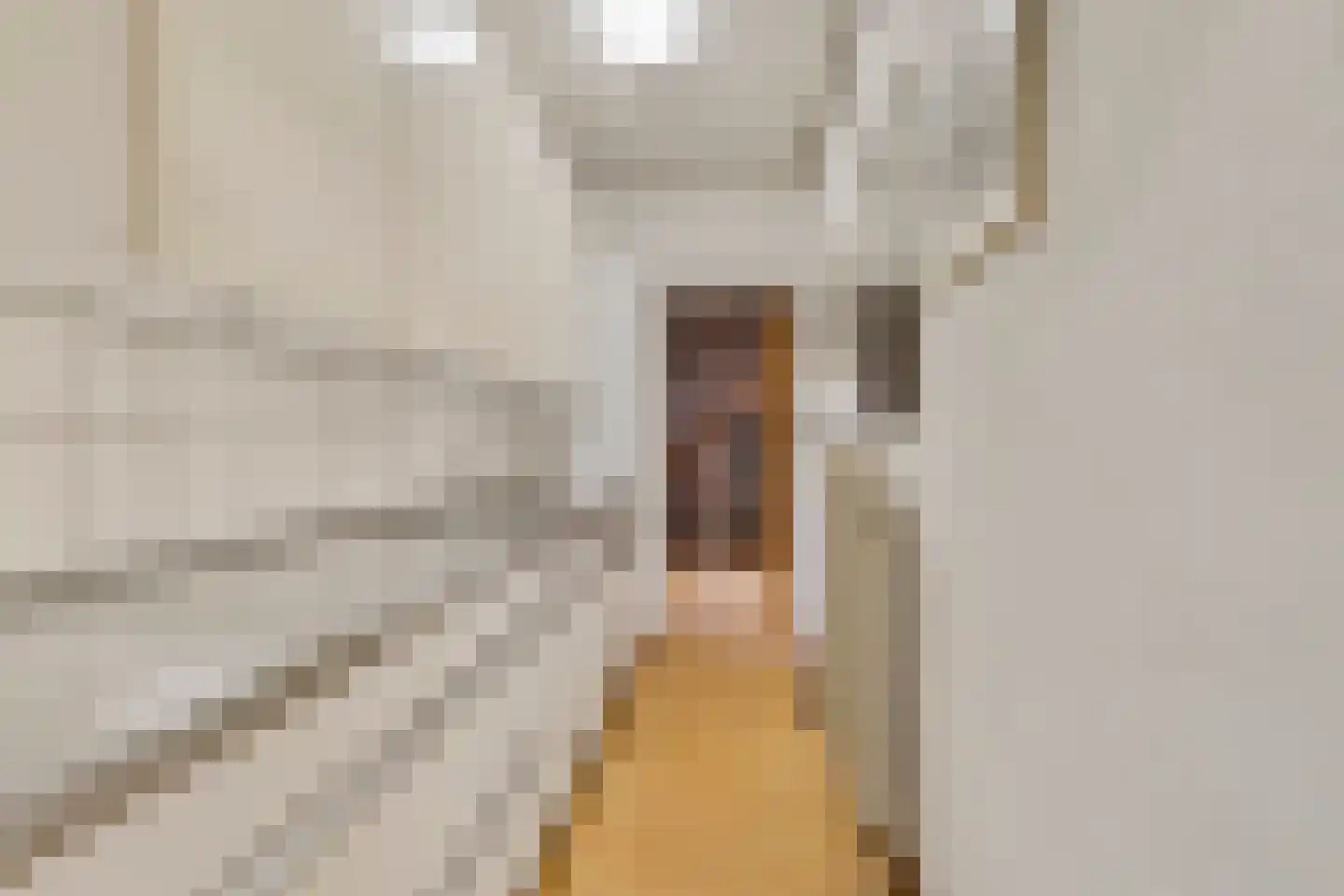 Overakkerstraat 298 Breda thumbnail 23