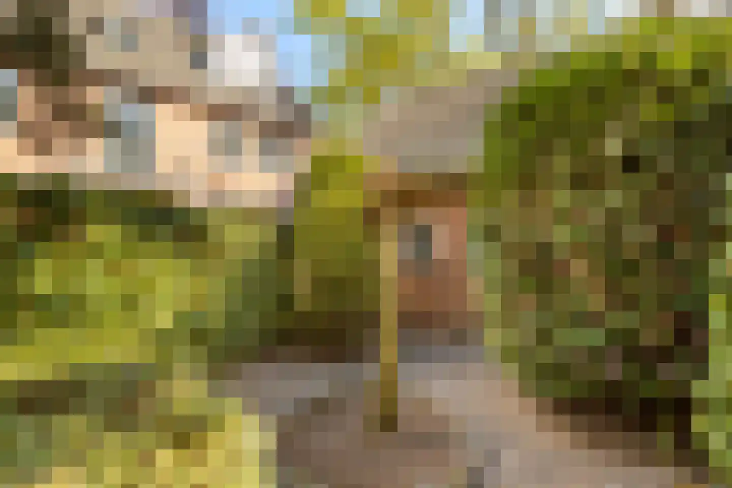 Overakkerstraat 298 Breda thumbnail 42