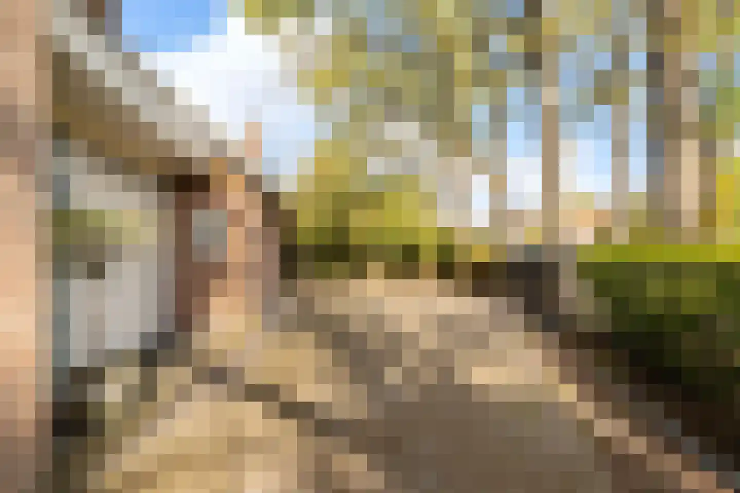 Overakkerstraat 298 Breda thumbnail 62