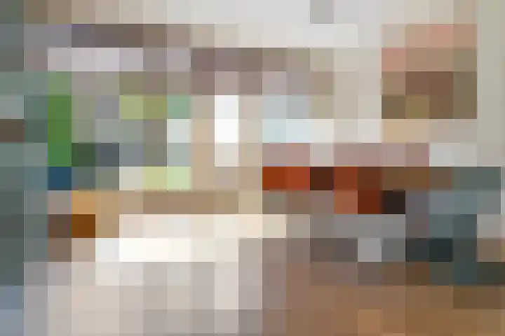 Overakkerstraat 4 Breda thumbnail 12