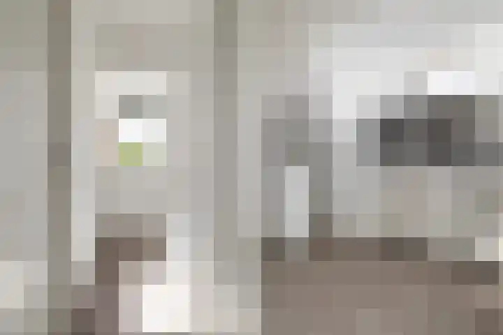 Overakkerstraat 4 Breda thumbnail 18