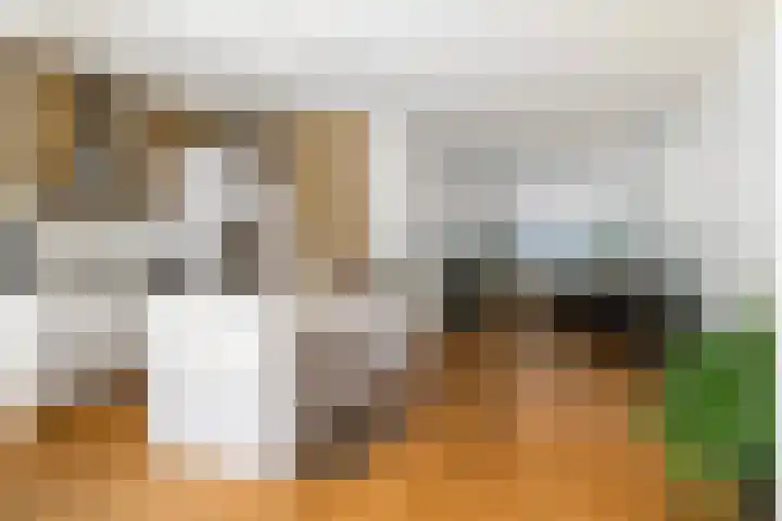 Overakkerstraat 4 Breda thumbnail 8
