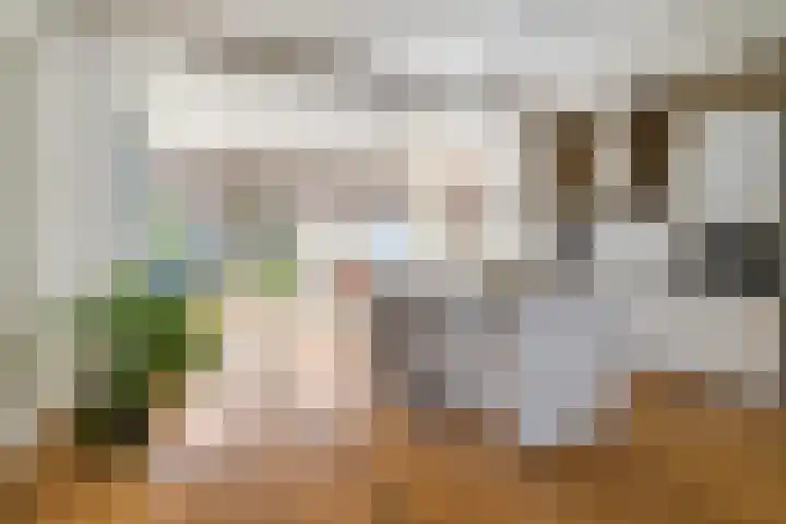 Overakkerstraat 4 Breda thumbnail 9