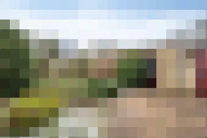 Overambt 27 Vierlingsbeek thumbnail 17